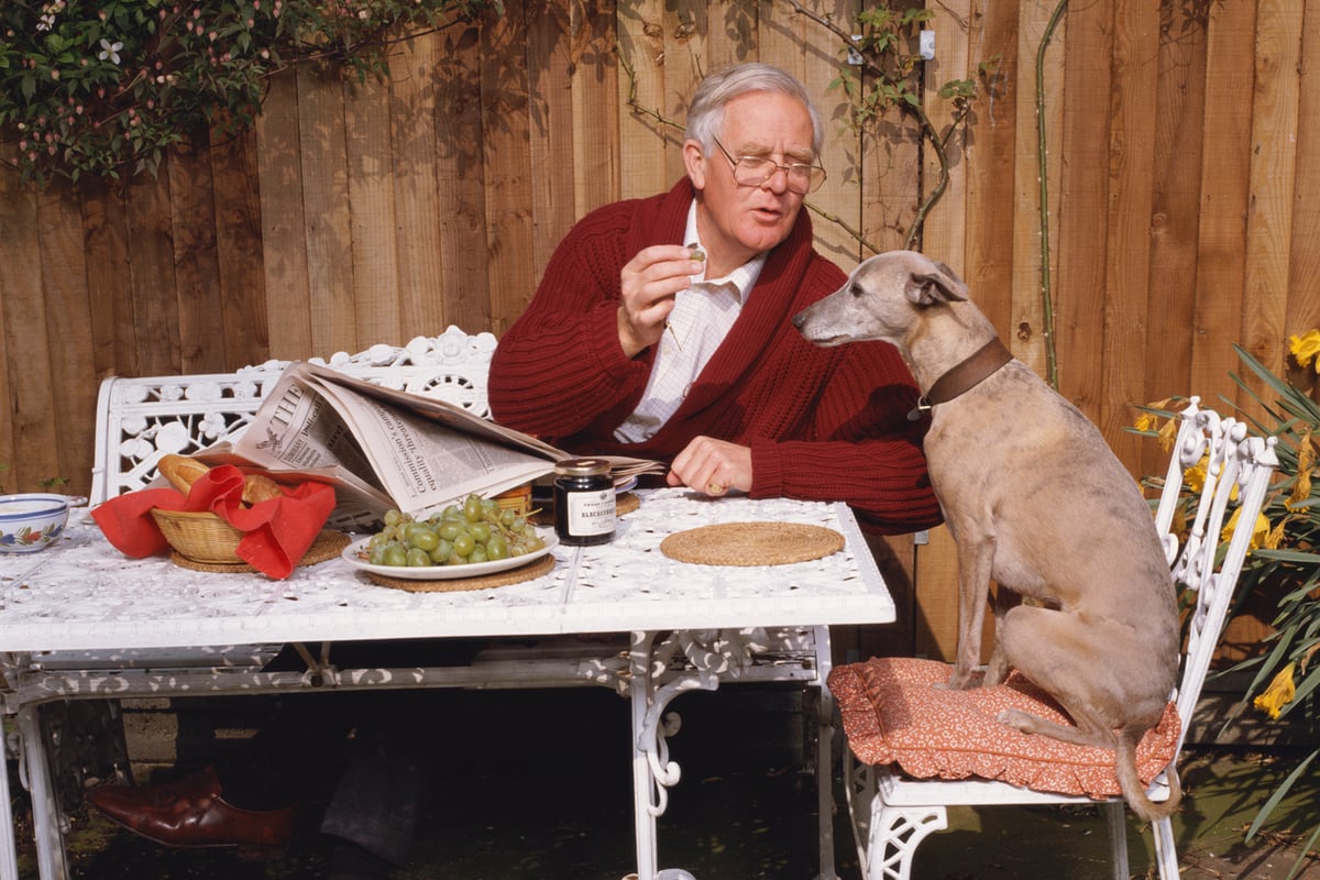 The Pigeon Tunnel: Stories From my Life by John le Carré - review | London Evening Standard