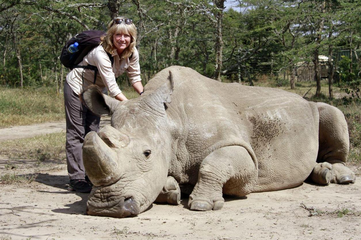 Walking with rhinos in Kenya’s Laikipia County