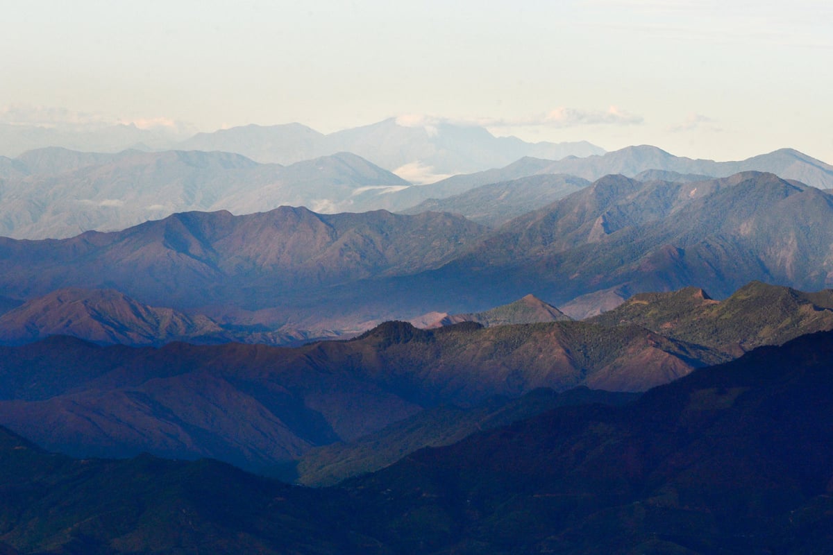The Colombian Andes in 10 days: from horse riding to coffee tasting | London Evening Standard