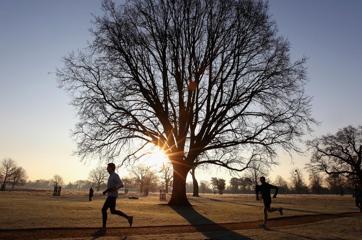 Cyclists demand Bushy Park route ban to be lifted 'because it diverts them towards accident blackspot' | London Evening Standard