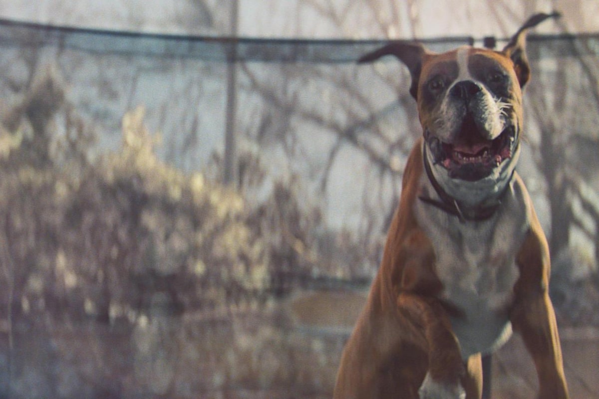 John Lewis Christmas adverts ranked: we rate all 18 festive spots for tear-jerkiness, cover-song quality and... scandal