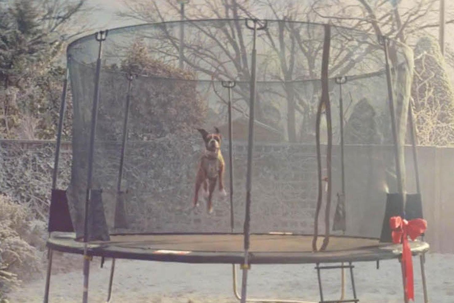 John Lewis ad 'could cause influx of trampoline injuries'