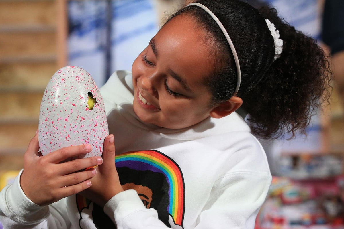 Cyber criminals hold parents to ransom for Christmas hit toys like Hatchimals | London Evening Standard