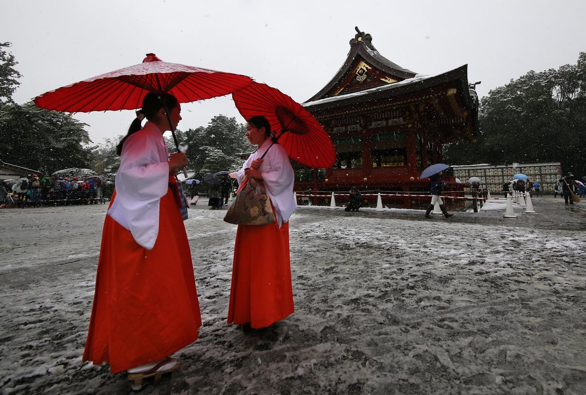 Japanese capital Tokyo sees first November snow in over half a century | London Evening Standard