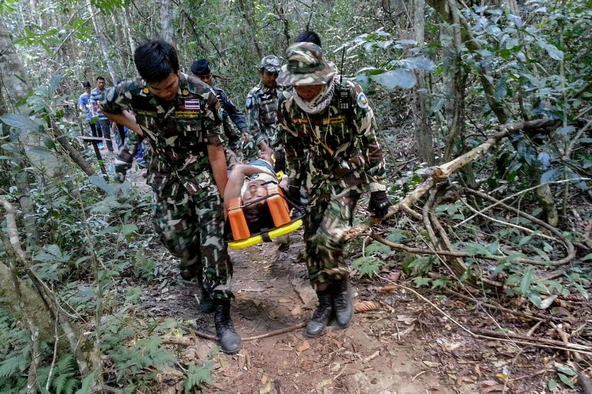 French tourist bitten after 'posing for selfie with crocodile' in Thailand | London Evening Standard