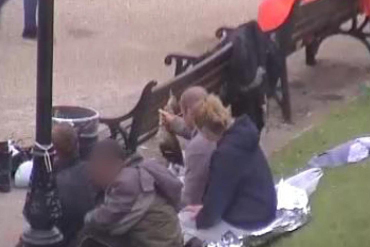 Man who killed duck by wringing its neck walks free from court