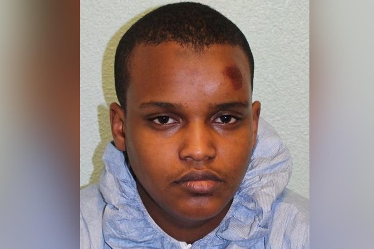 Russell Square knifeman Zakaria Bulhan locked up indefinitely for stabbing US tourist to death | London Evening Standard
