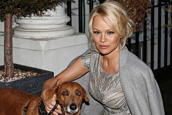 Londoner's Diary: Pam Anderson rings friends, and they vibrate | London Evening Standard