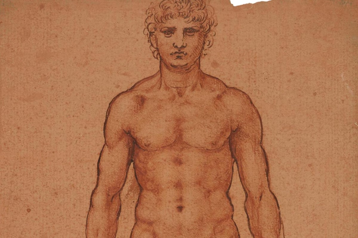 Rarely seen Leonardo da Vinci and Rembrandt sketches to go on display at National Portrait Gallery | London Evening Standard