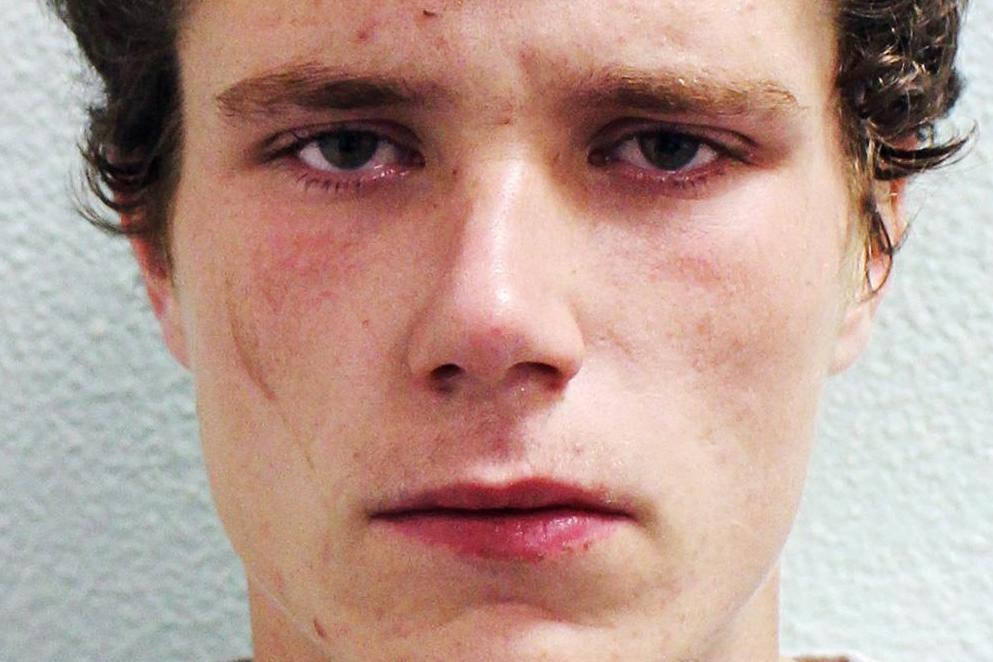 Jailed for 12 years: millionaire's son Joshua Dobby who killed child actor and aunt while fleeing police | London Evening Standard
