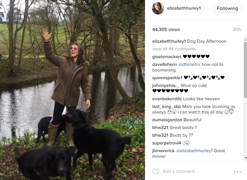 Londoner's Diary: Crufts brings out dogs of Instagram | London Evening Standard