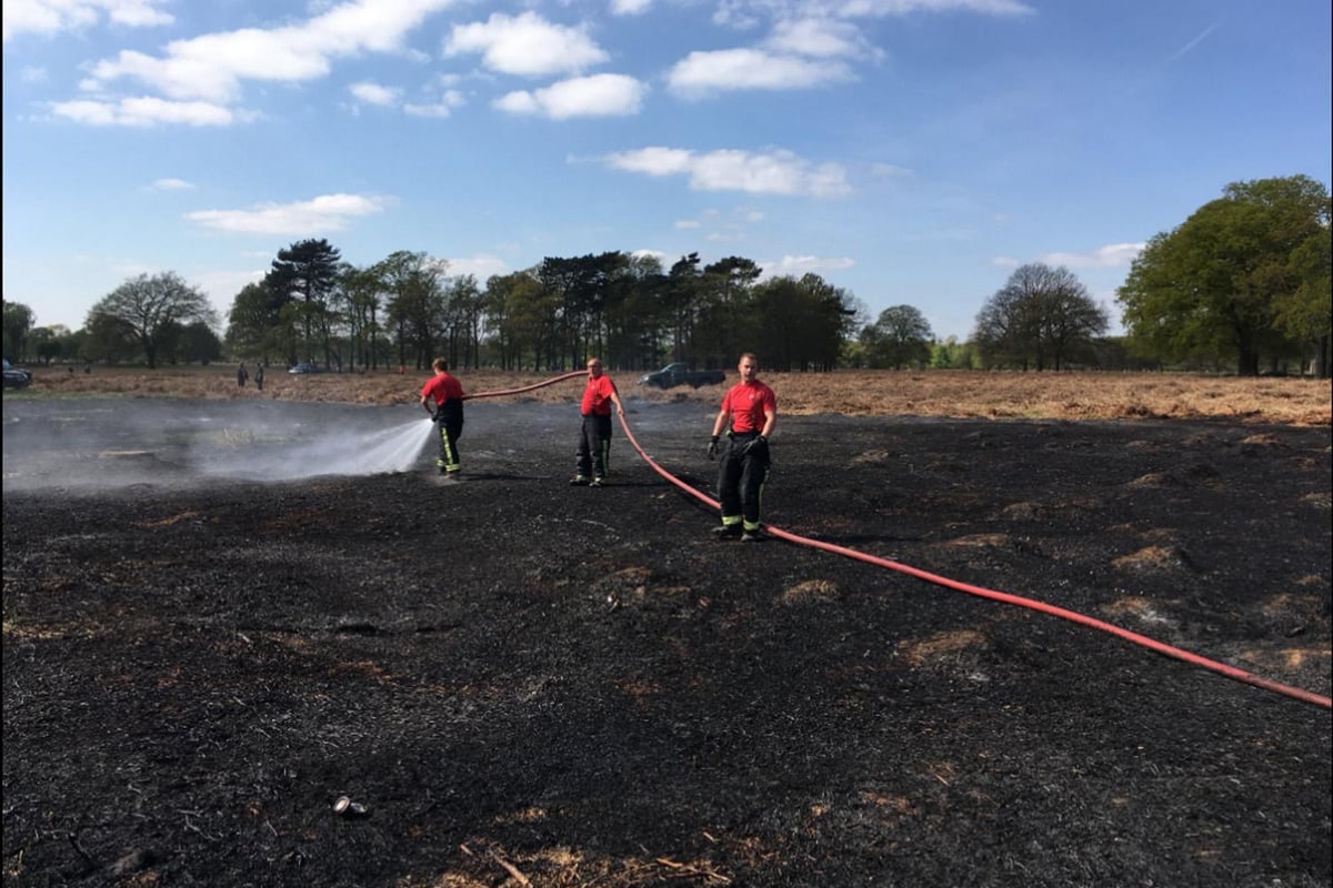 Grass fire warning after football pitch-sized area of Bushy Park goes up in flames | London Evening Standard