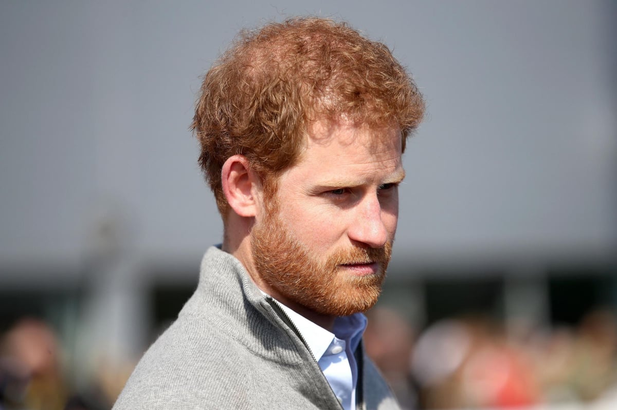 Prince Harry praised as 'inspiring' by mental health experts after opening up about his grief | London Evening Standard