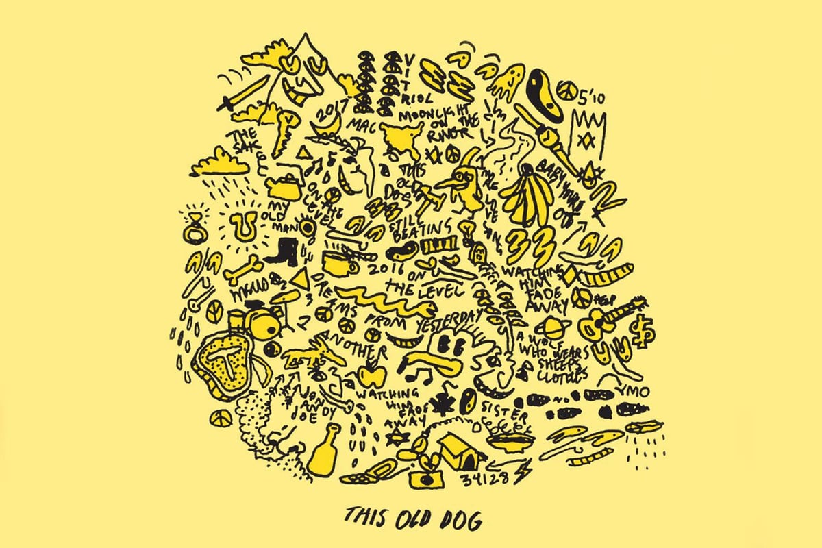 Mac DeMarco - This Old Dog, review: ‘A selection of unhurried, sun-dappled songs’ | London Evening Standard