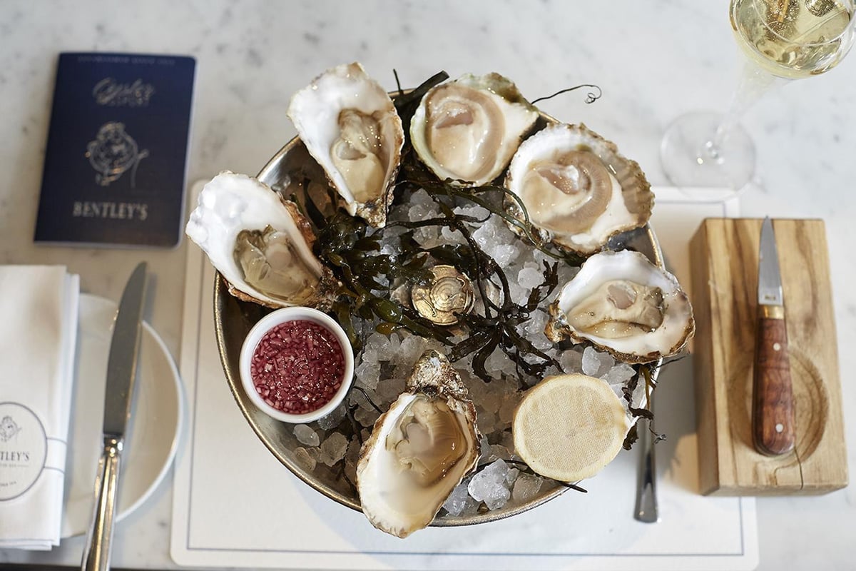 Bentley’s Oyster Bar & Grill: A polished oyster bar with a thoroughly British fare | London Evening Standard