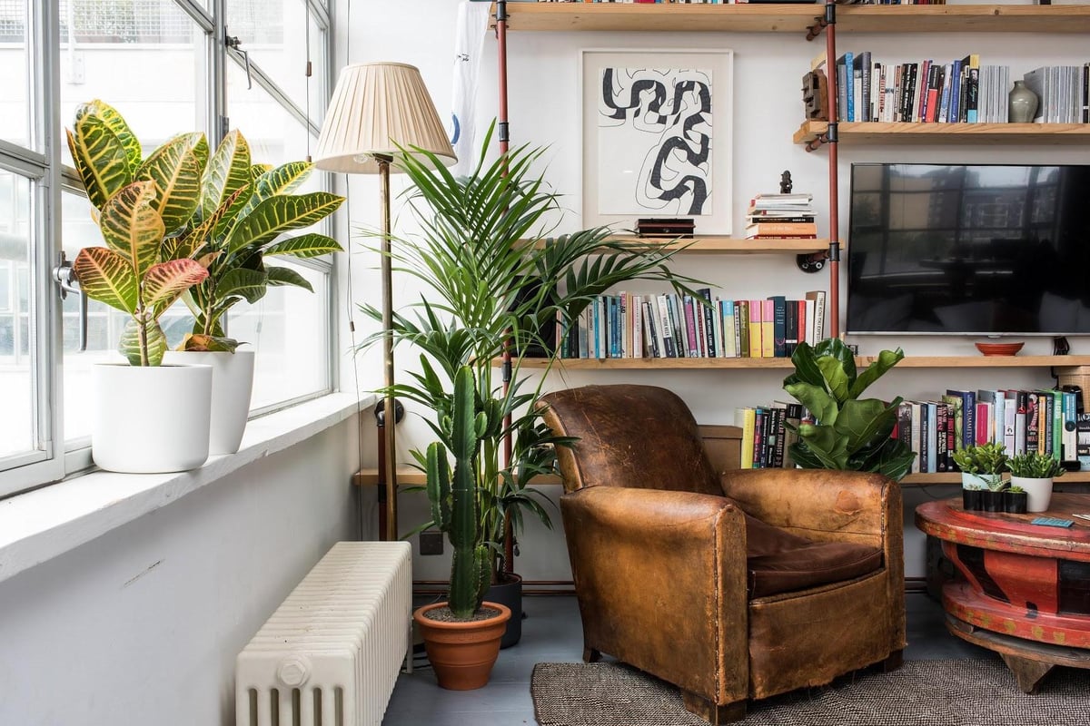 9 Instagram accounts every budding urban gardener should follow | London Evening Standard