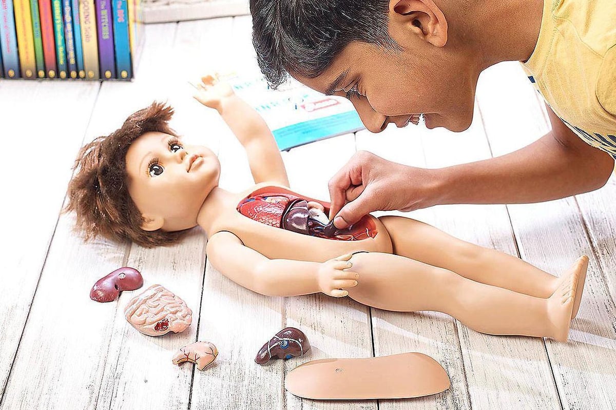 Meet Anatomic Anna: the doll with its own heart, lungs and kidney | London Evening Standard