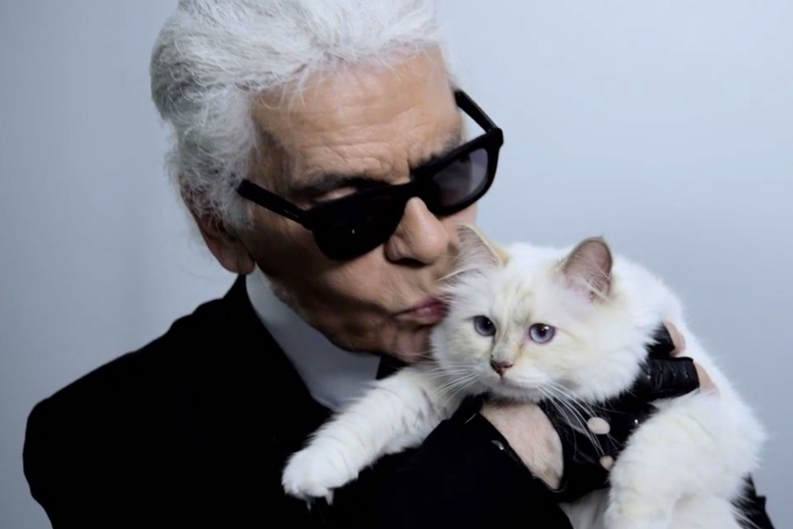 Karl Lagerfeld's cat: How Choupette could 'inherit' the famous designer's millions | London Evening Standard