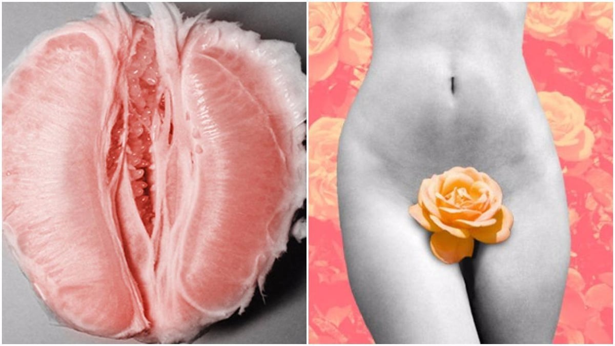 A vagina museum is coming to London | London Evening Standard