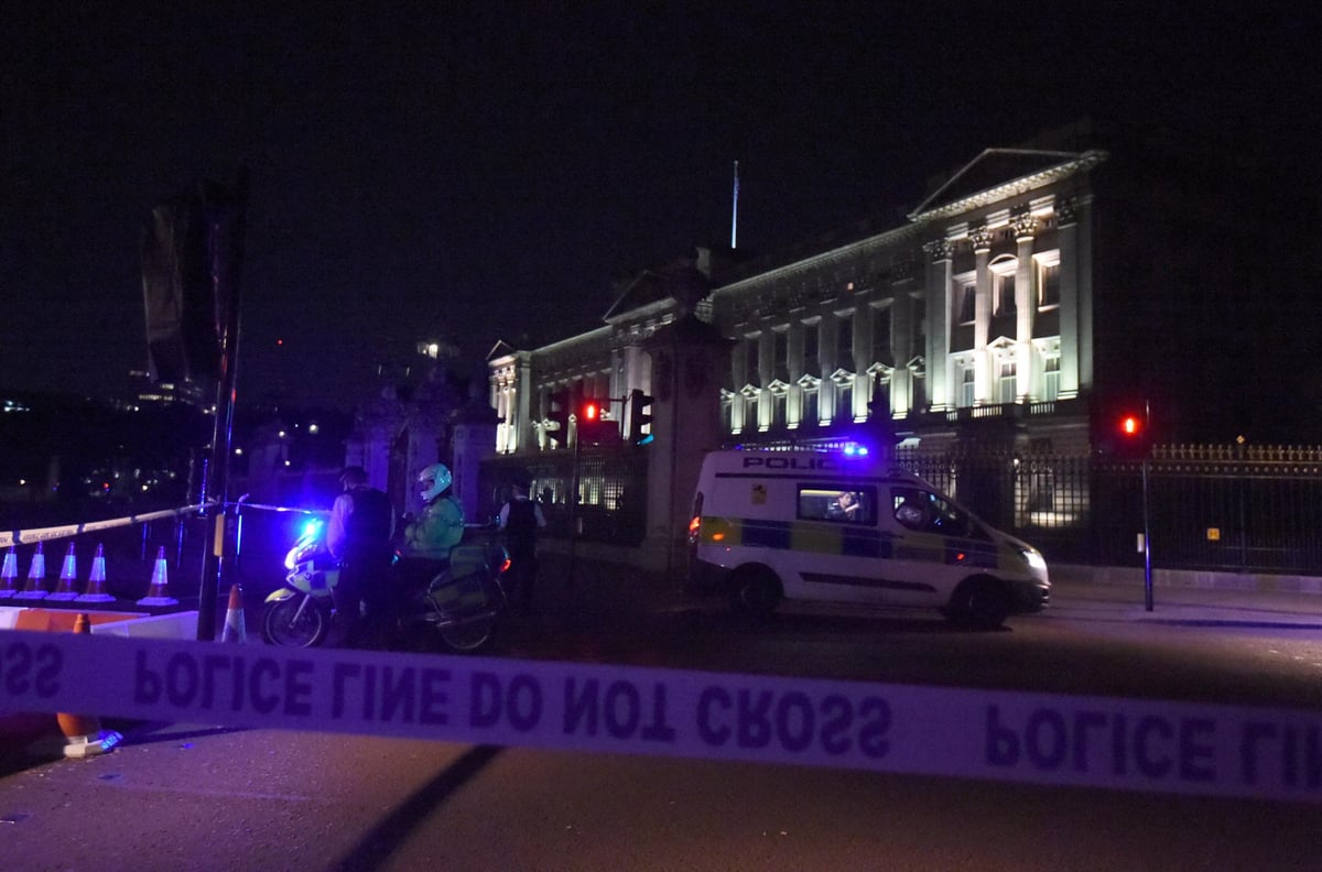 Man cleared over Buckingham Palace sword incident 'dreamed of martyrdom while plotting new London terror attacks' | London Evening Standard