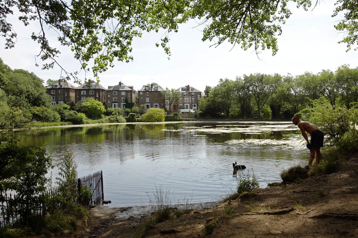 Swimmers’ fury at green light for Hampstead Ponds fees | London Evening Standard