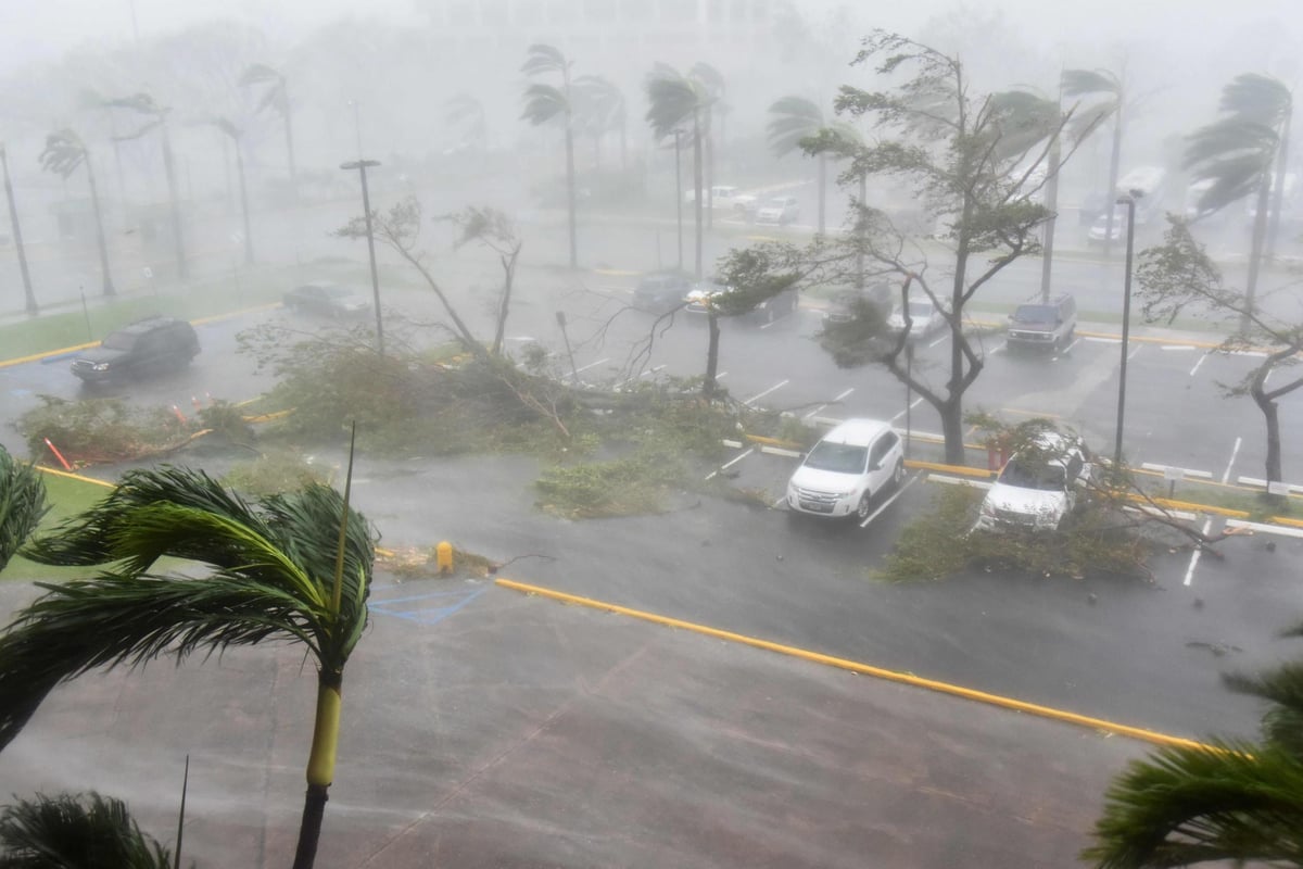Hurricane Maria: 'Screaming' storm slams into Puerto Rico ripping trees and buildings apart | London Evening Standard