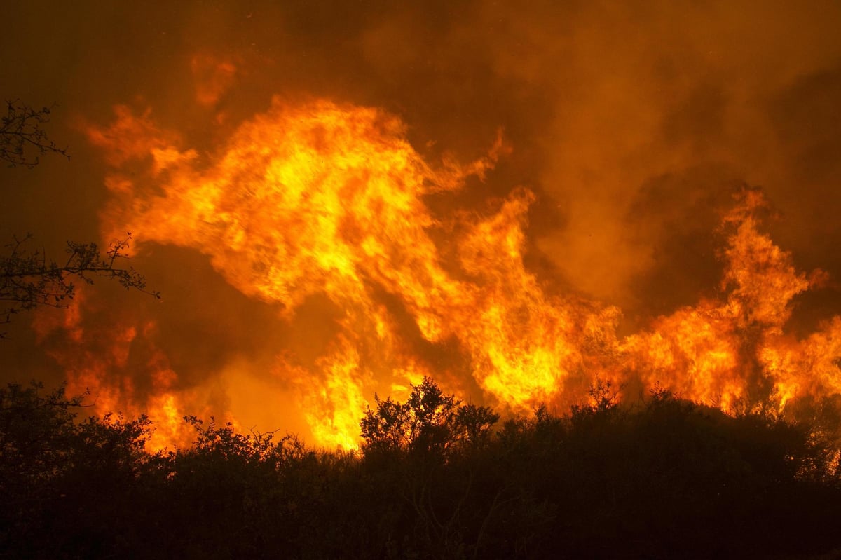 California declares state of emergency after wildfires trigger mass evacuations | London Evening Standard