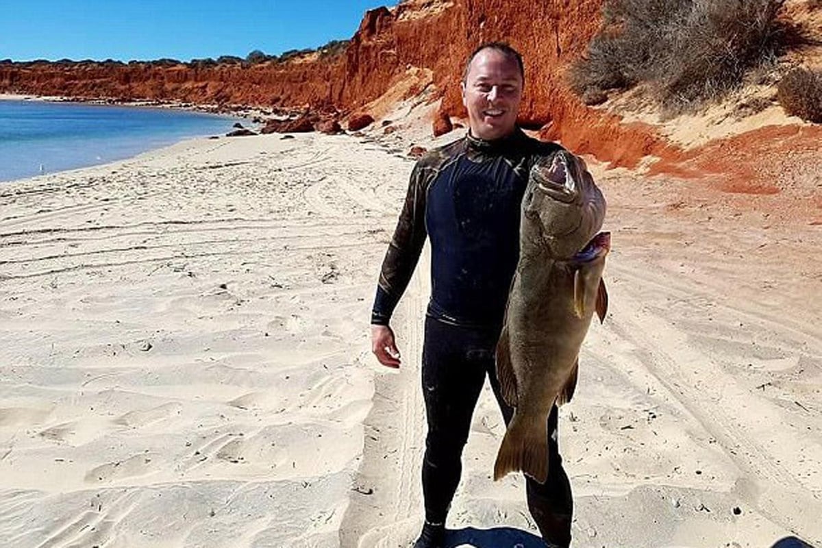British diver makes terrifying three-hour swim for his life after losing his boat and finding himself being hunted by a Tiger shark | London Evening Standard