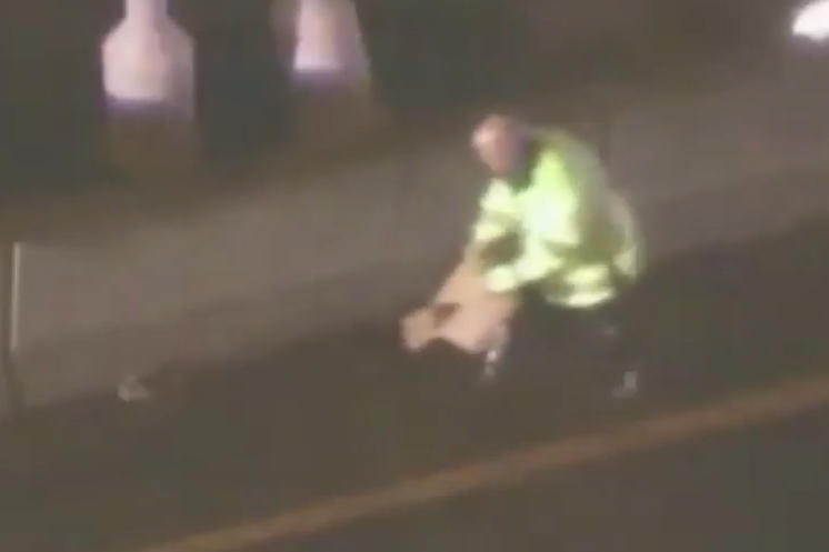 Hilarious moment police scramble to catch rabbit loose on busy bridge