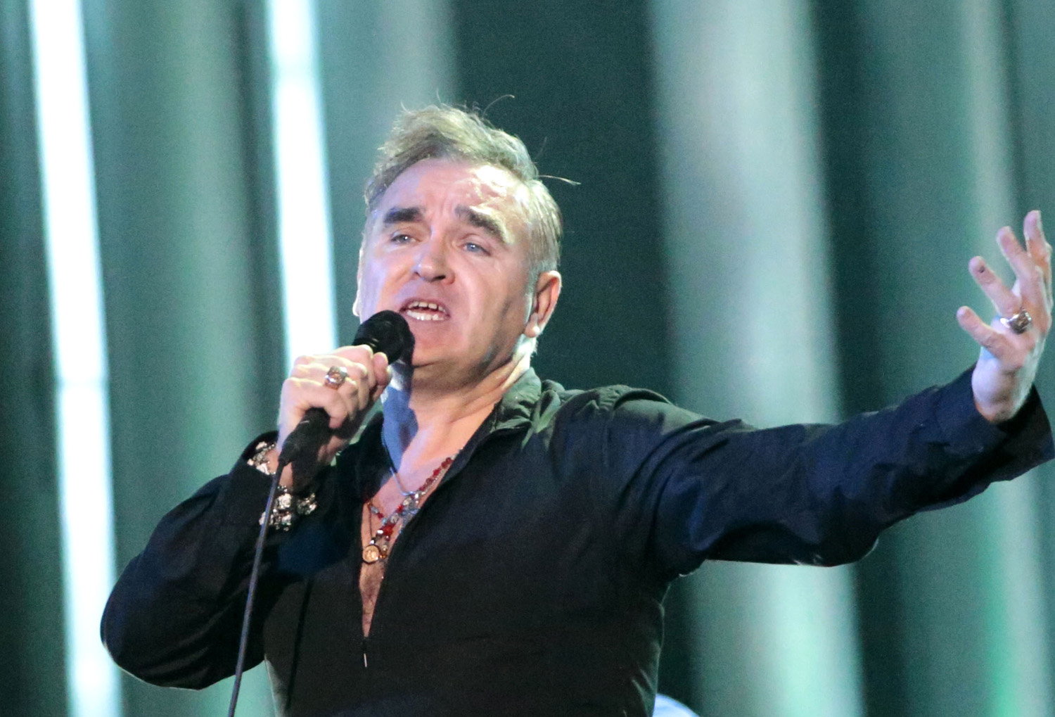 Morrissey brands halal meat 'evil' as he claims animals suffer racism