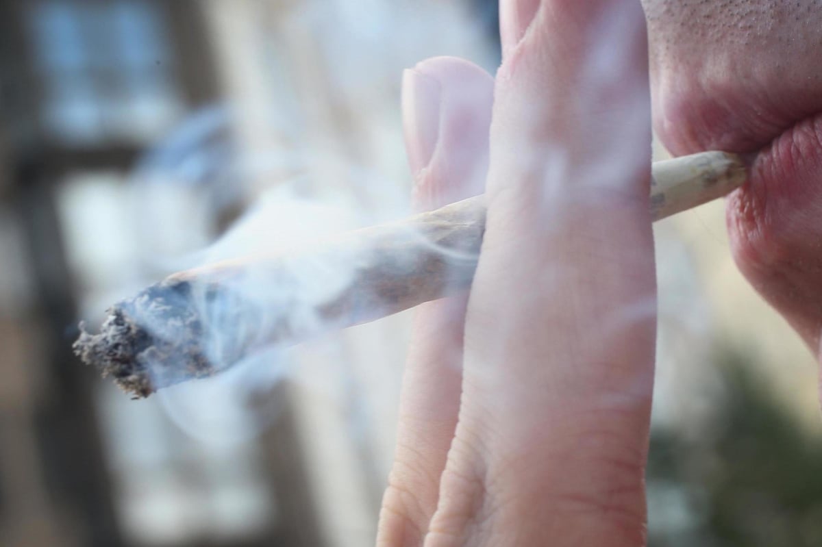 Scotland Yard spends more than £1m every year locking up cannabis users, former Cabinet minster claims | London Evening Standard