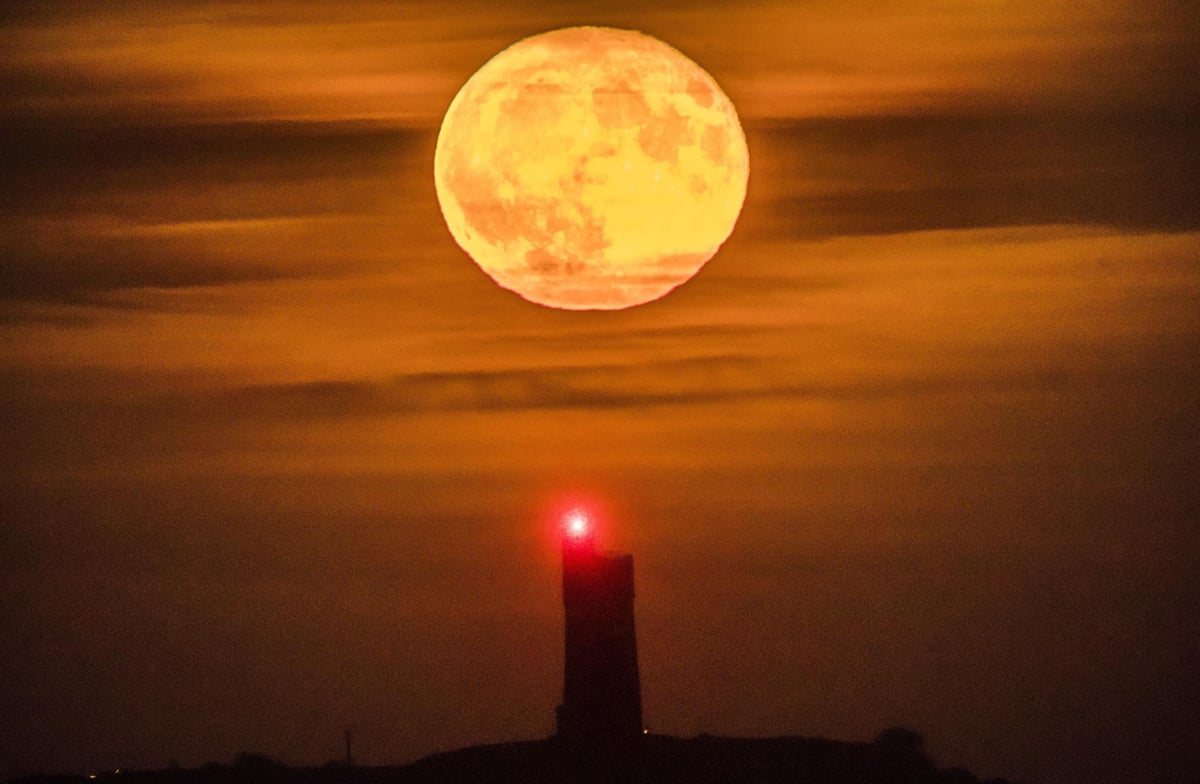 November full moon 2018: Everything you need to know about the Beaver Moon | London Evening Standard