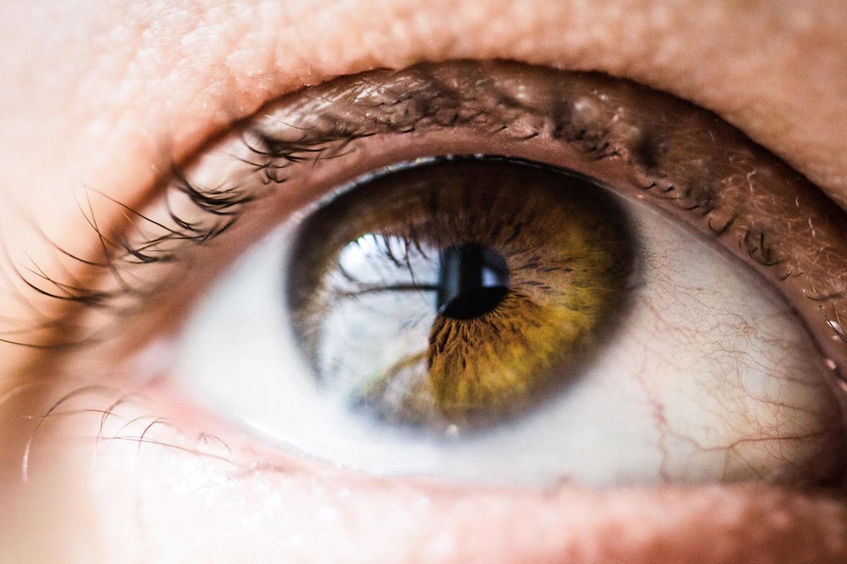 Surgeons carry out 'world first' gene therapy to tackle leading cause of sight loss in Britain | London Evening Standard