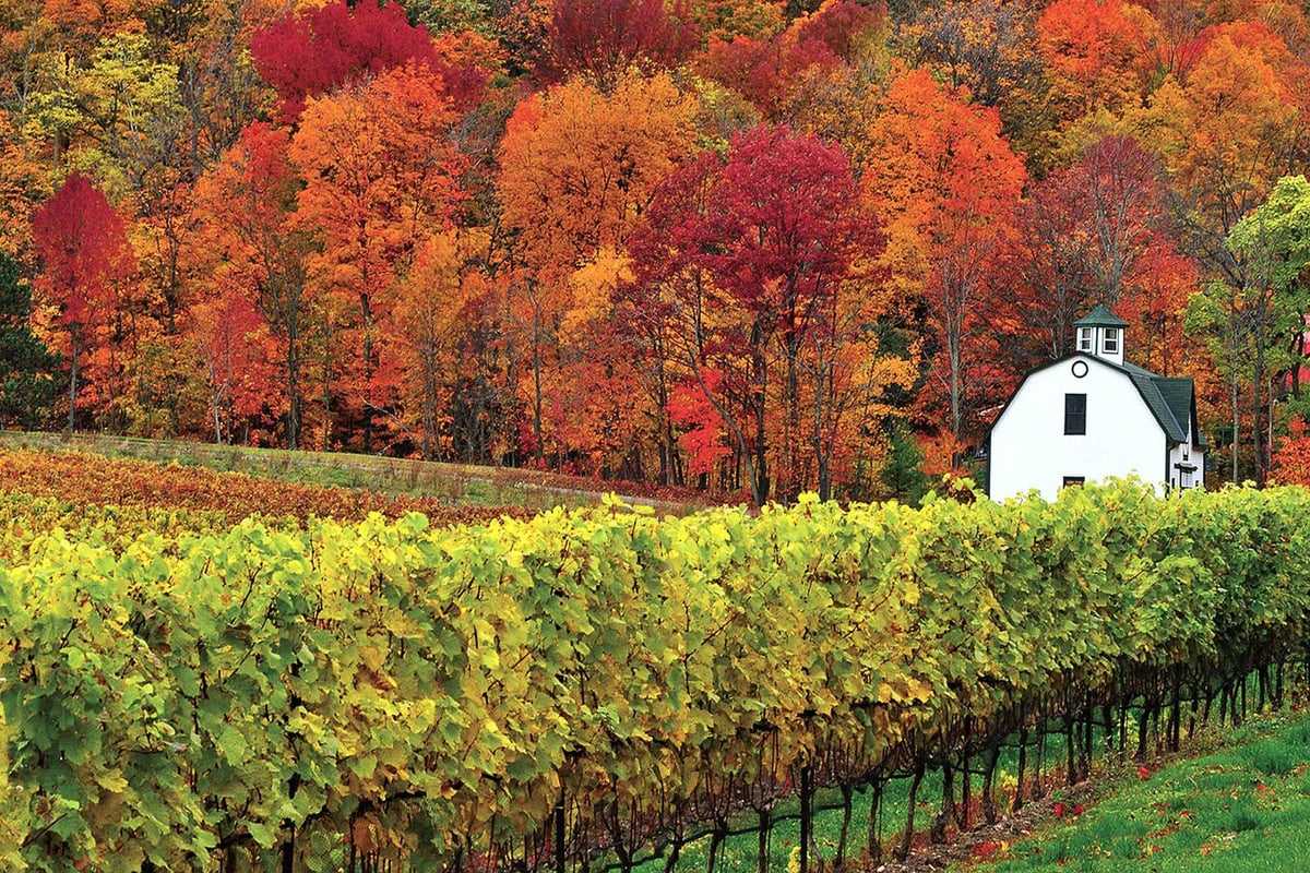 23 spectacular pictures of Canada in all its autumnal glory | London Evening Standard