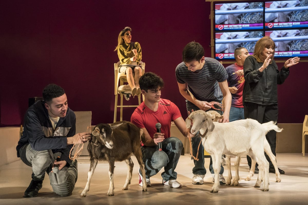 Goats review: Animal magic gets us no closer to the tragedy in Syria | London Evening Standard