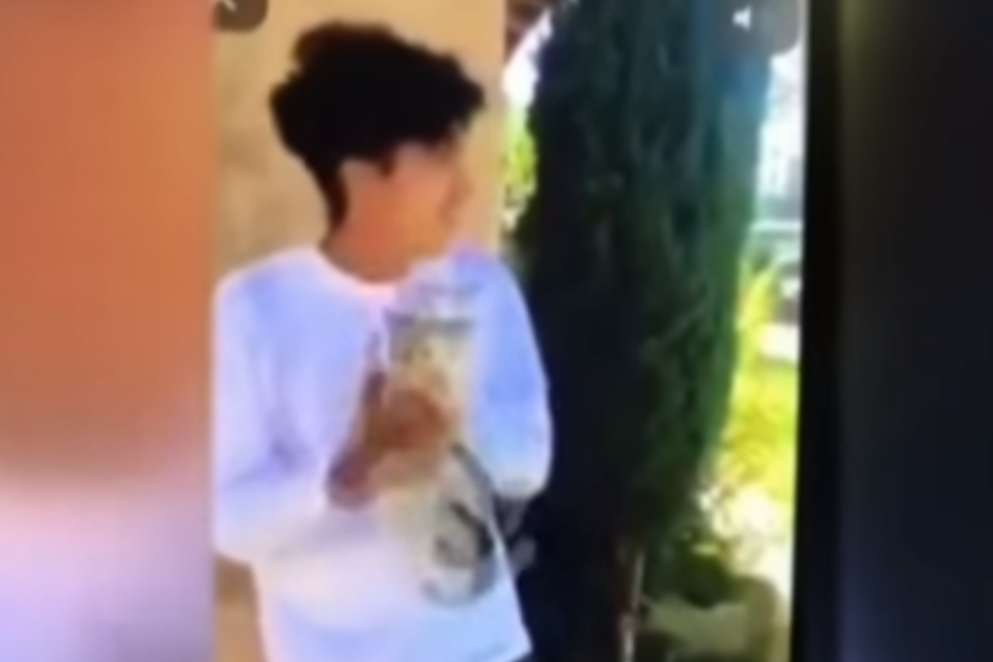 Boy, 16, arrested in US over Snapchat video of him hurling a kitten across the street | London Evening Standard