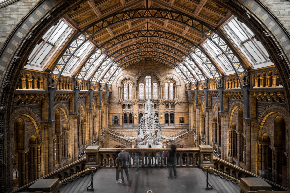 Our guide to the museums in London you should visit, from Science Museum to the V&A
