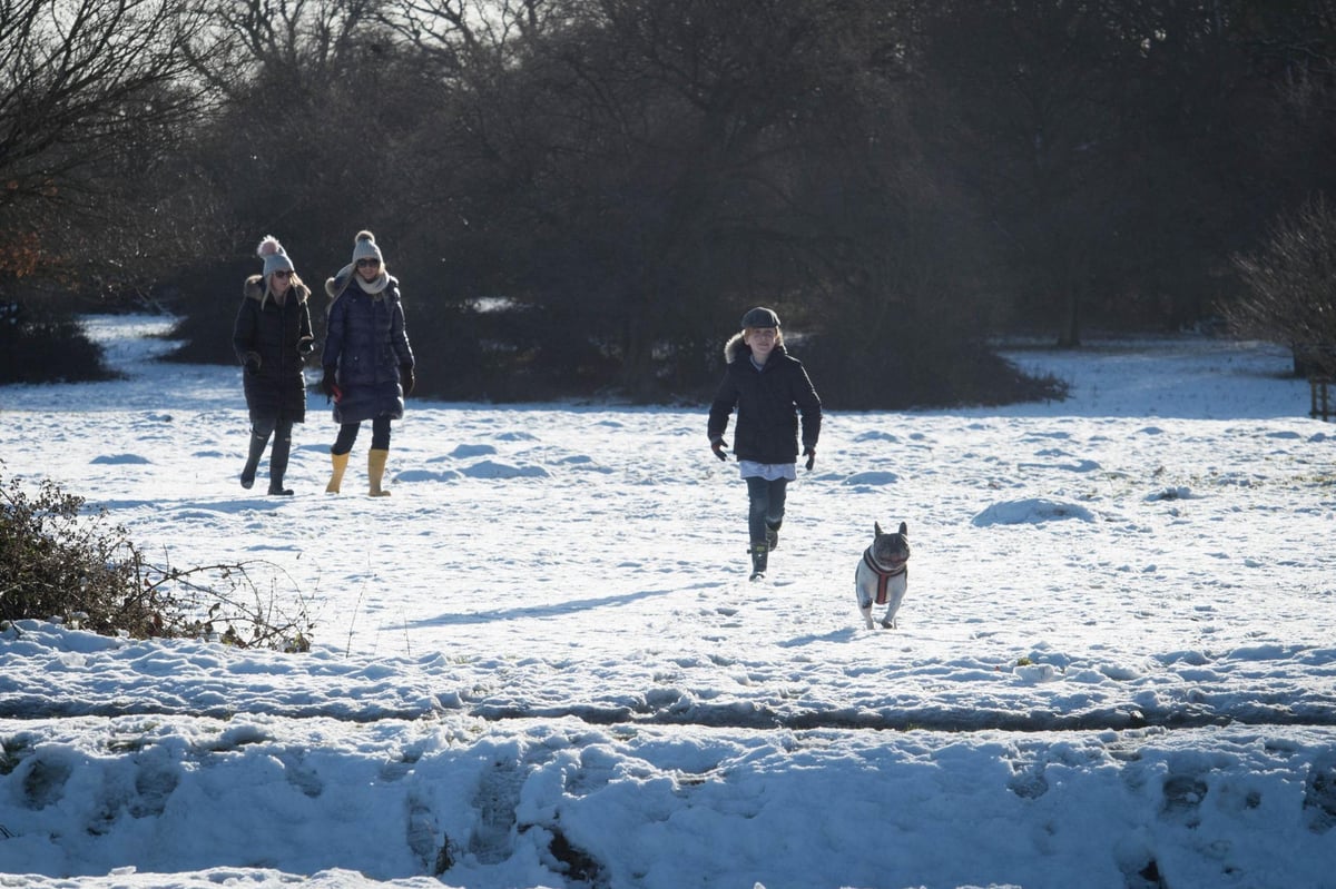 UK weather forecast: Coldest night of the year predicted as temperatures plummet to -13C and arctic blast threatens 10cm of snow | London Evening Standard