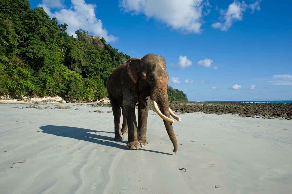 10 hot travel destinations you should visit in 2018 | London Evening Standard