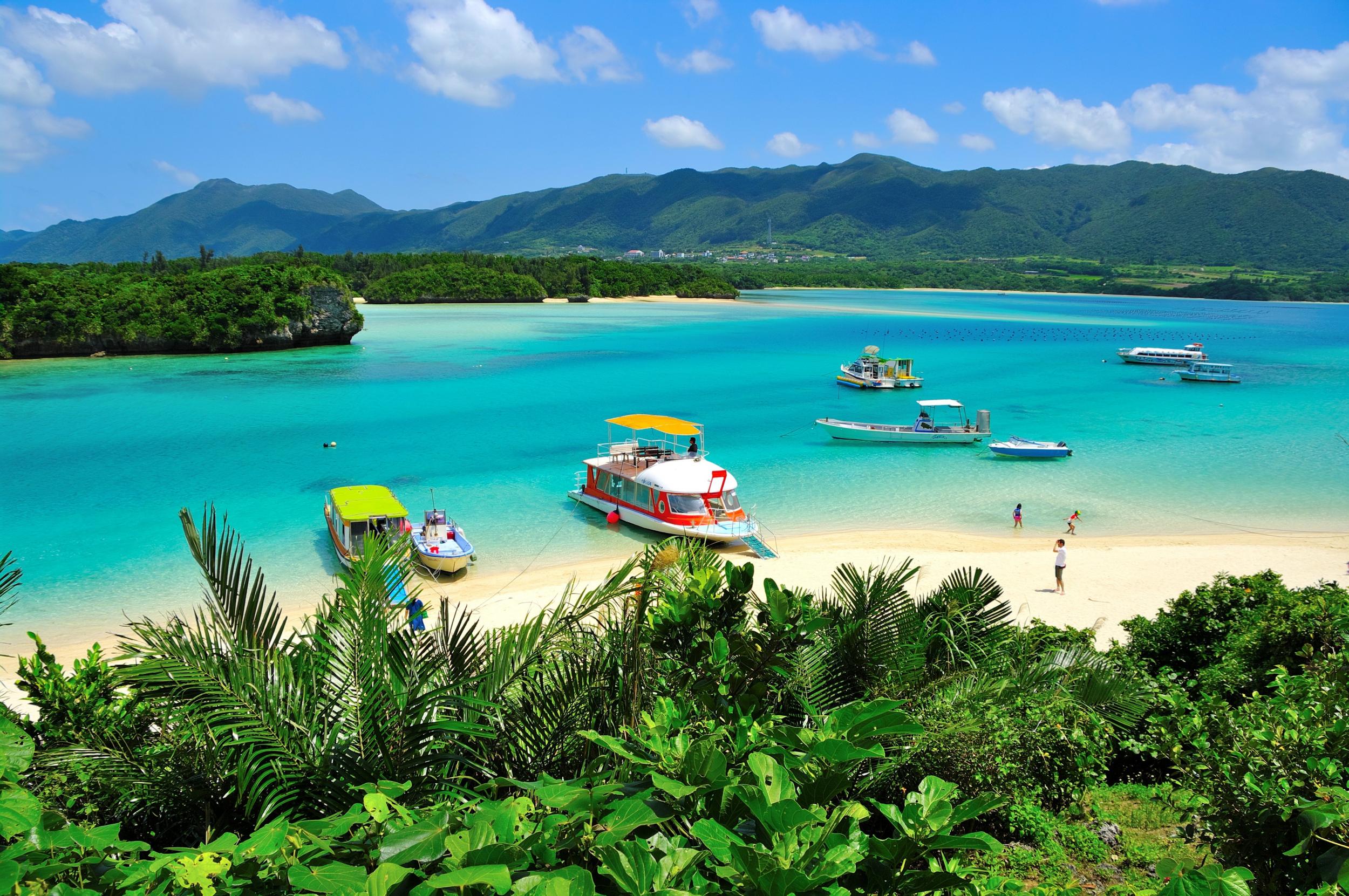 Japanese island has been named a top destination by TripAdvisor
