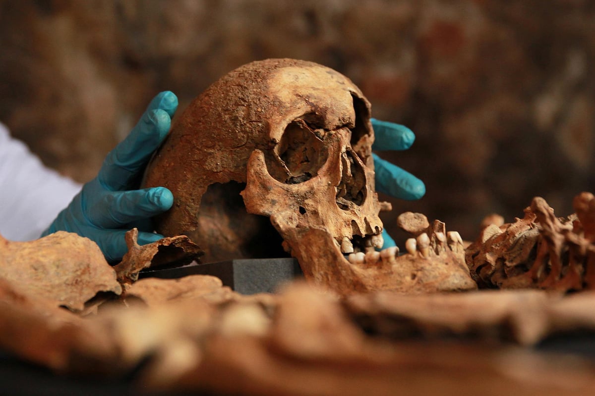 Black Death plague 'spread by dirty humans and not rats', study finds | London Evening Standard