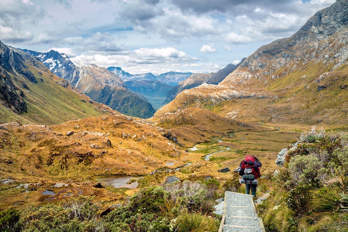 8 of the best hiking trails in New Zealand | London Evening Standard