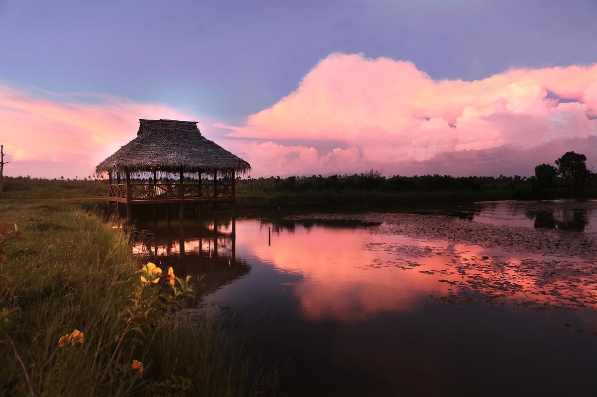 How to experience the true Kerala | London Evening Standard