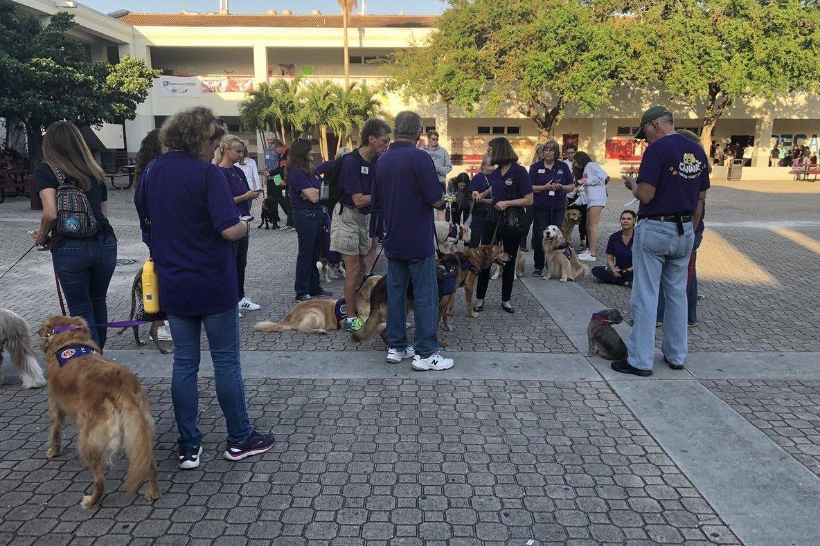 These therapy dogs are helping Florida shooting students return to school | London Evening Standard