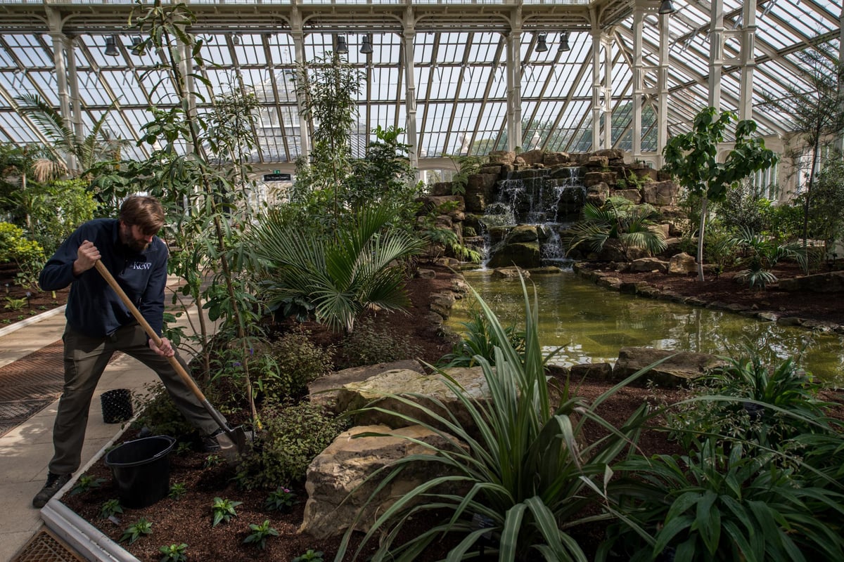 The Reader: Kew Gardens is not just beautiful but also a place to learn | London Evening Standard