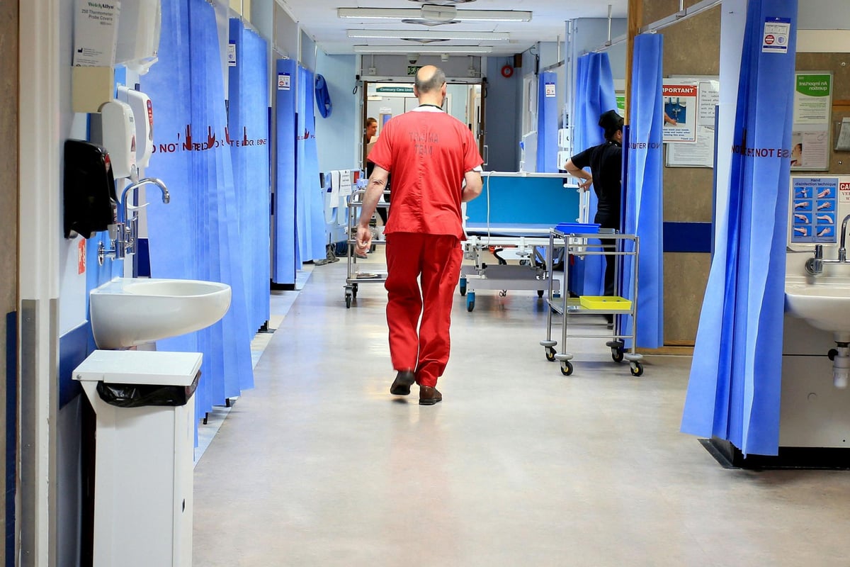 London hospitals barred from hiring 80 doctors and therapists in visa row | London Evening Standard