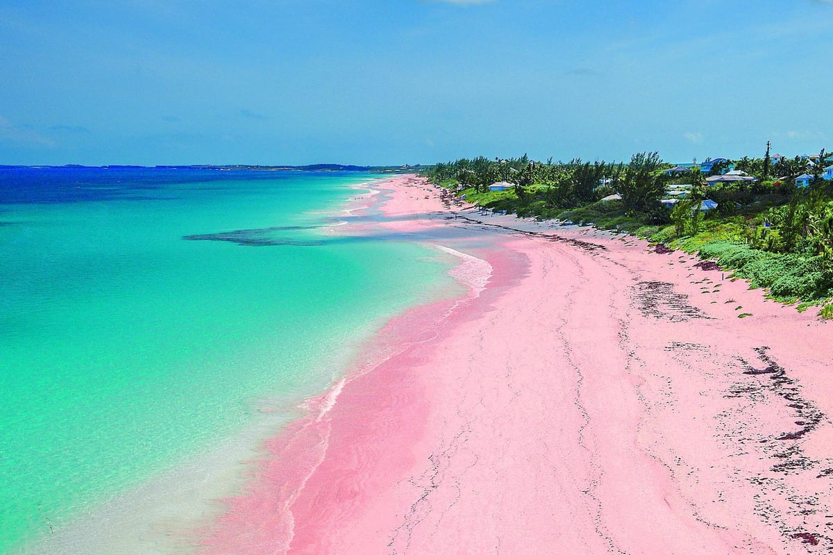 Sabine Getty's guide to Harbour Island in the Bahamas | London Evening Standard