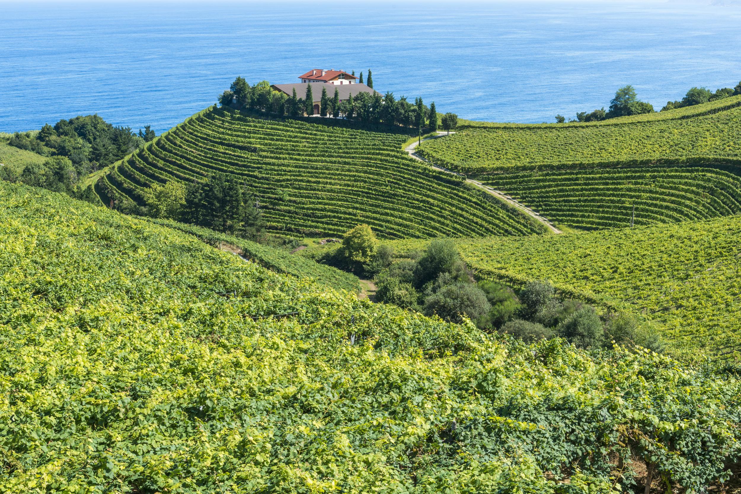 5 amazing Spanish wine regions you've probably never heard of