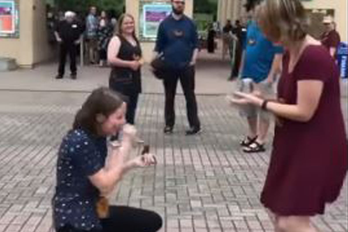 Heartwarming moment woman proposes at Memphis zoo... only to realise her partner was seconds away from doing exactly the same | London Evening Standard