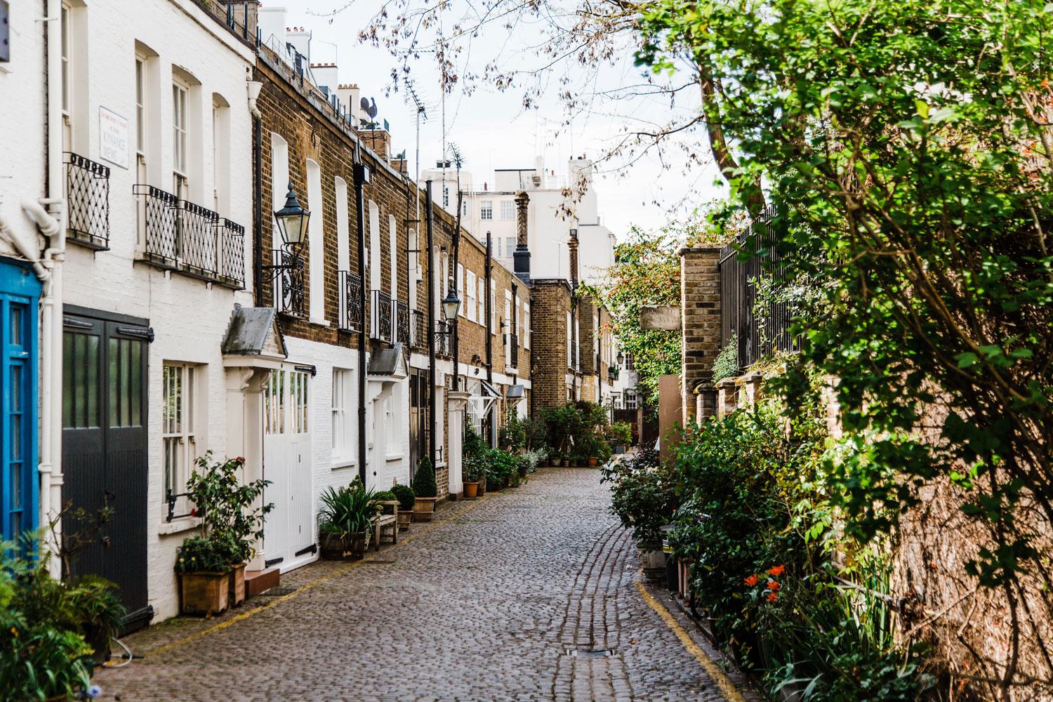 Do you know about the culinary revolution in Kensington